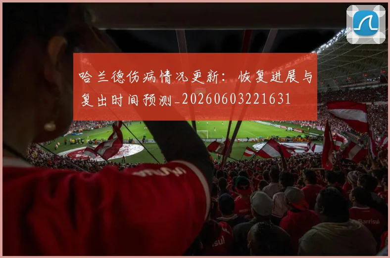 哈兰德伤病情况更新:恢复进展与复出时间预测_20260603221631