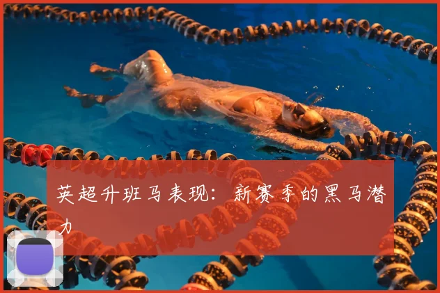 英超升班马表现:新赛季的黑马潜力