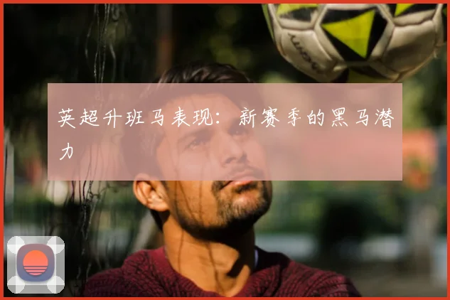 英超升班马表现:新赛季的黑马潜力